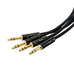 Titan AV CAT Tail, EtherCON To Quad TRS -Mixer Road Box Sales Shop FXM MC CATTRS 61dd00c3 b95e 42d3 83b2 0630b046c0d1